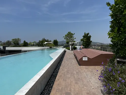 LSP 2524 - 照片 17