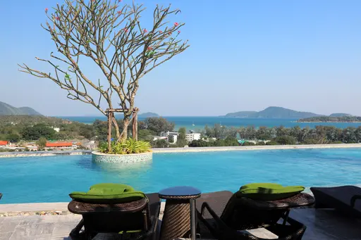 Calypso Garden 310 - Photo 9