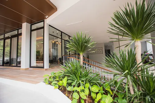 Palmetto Condominium 6