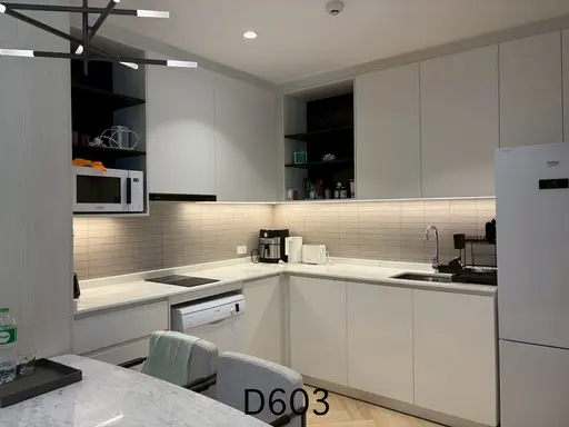 The Legendary D-603 (1 Plus) - รูปภาพ 1