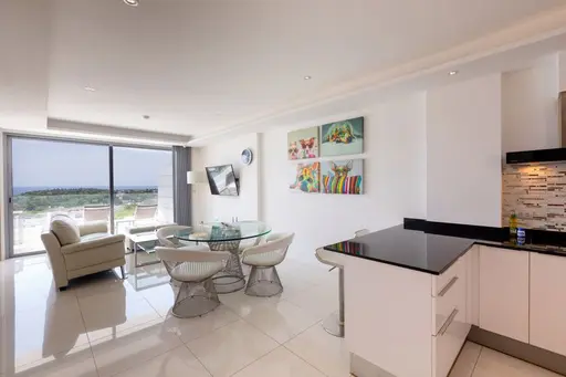 The View Condominium  - 照片 3